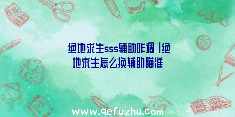 「绝地求生sss辅助咋调」|绝地求生怎么换辅助瞄准